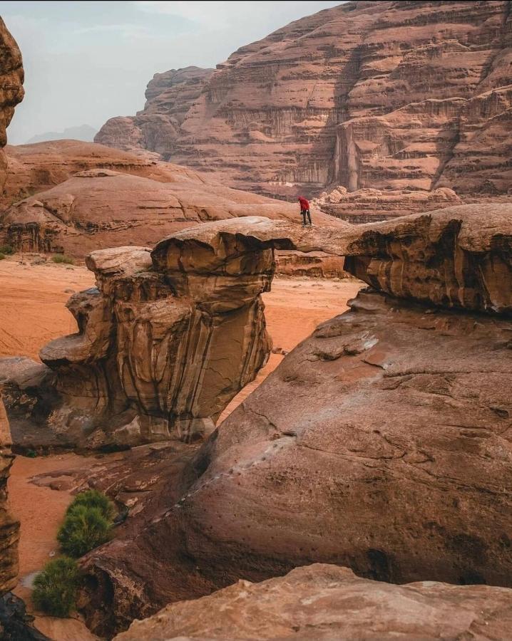 Rehana Rum Camp Wadi Rum Buitenkant foto